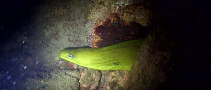 mergulho-norturno-11